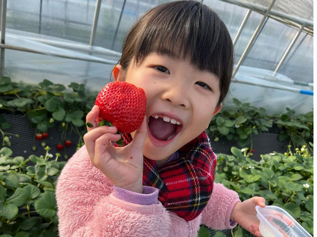 �傫���C�`�S��T���Ă݂ĂˁI_�����_��