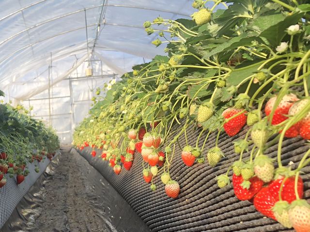 �����_��