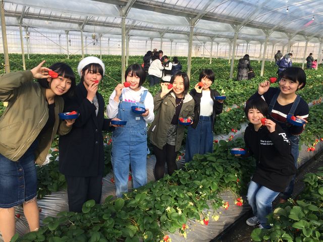 �y�k�͔|�̂��������_��R�ό���������