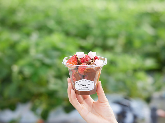 �g�b�s���O�Ő��E�ł�������̃I���W�i���X�C�[�c�������y���݂��������i�v���~�A���v�����̂ݑΏہj_MIGAKI FARM(��ICHIGO WORLD)