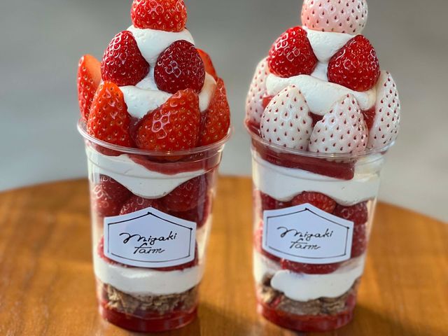 �J�t�F�����̃~�K�L�C�`�S�p�t�F_MIGAKI FARM(��ICHIGO WORLD)