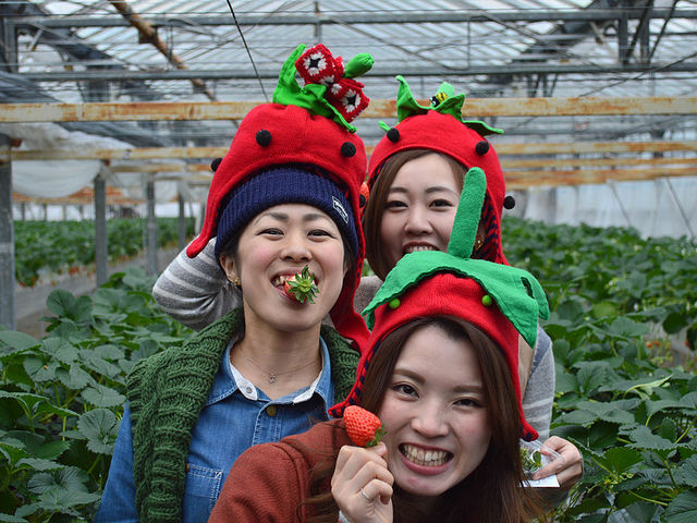 �x�W�^�u���K�[�f��