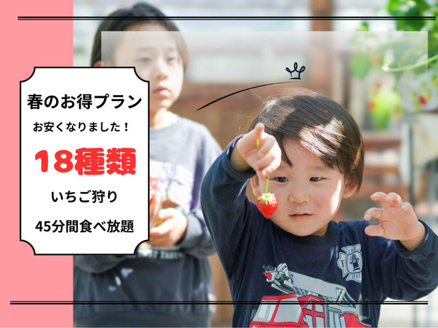 �x�W�^�u���K�[�f���̎ʐ^1