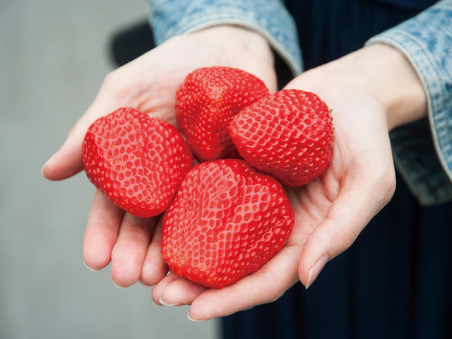 �����ό��A�O���X�l����