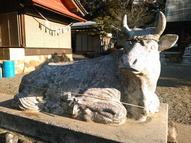 ���_���{