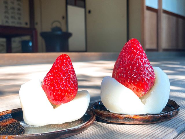 �W�����J�t�@�[���W�͔_��