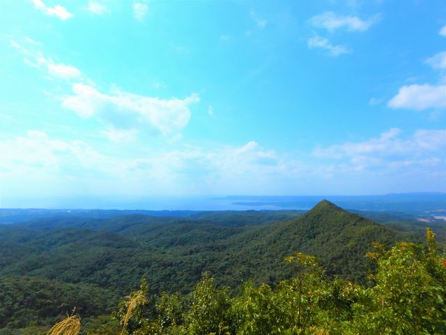 ��i�|�C���g�֍s�����I_���΂�G�R�t�B�[���h�@����