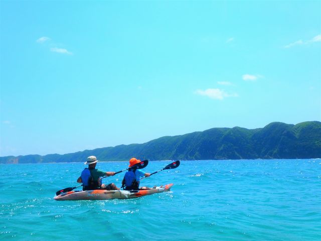 �΂̃}���O���[�u����A�N�₩�Ȑ̔���C�ցI_���΂�G�R�t�B�[���h�@����