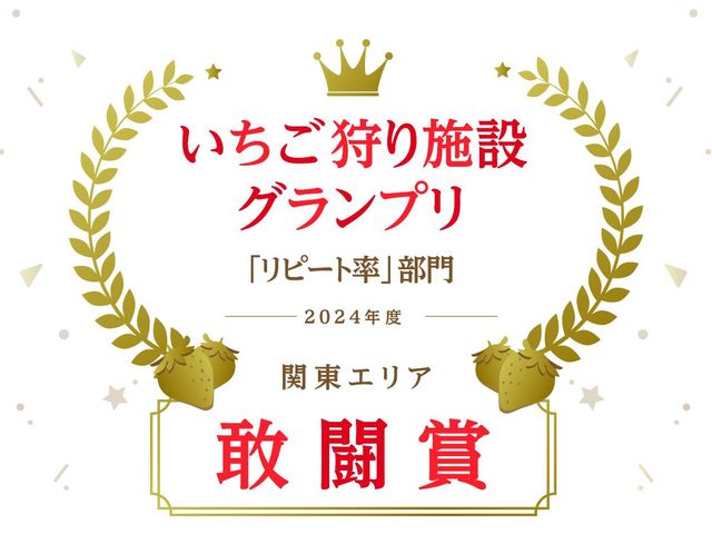 �Ȍ�����������