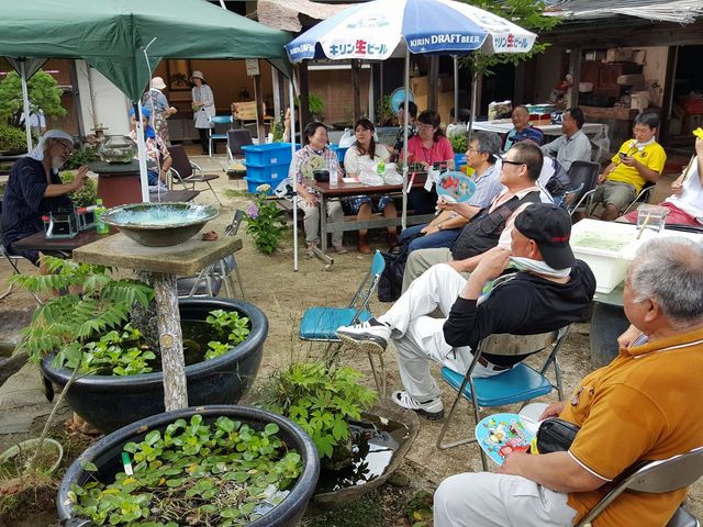 S`PP̑j̓_JsJÂA̕łɂ킢܂B_߂̊