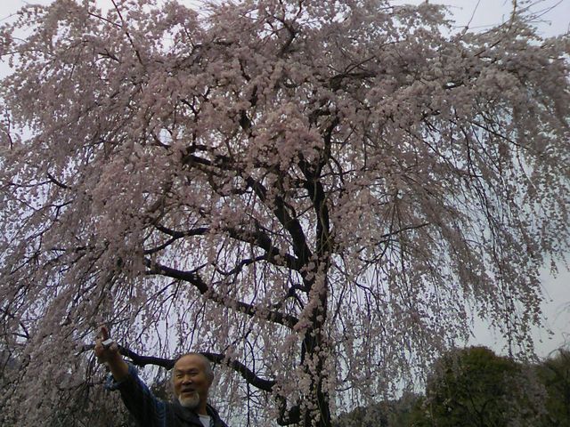 kT̏ꏊɂ͗YȂB̋G߂ɂz̍ۂ͂ЂB_߂̊