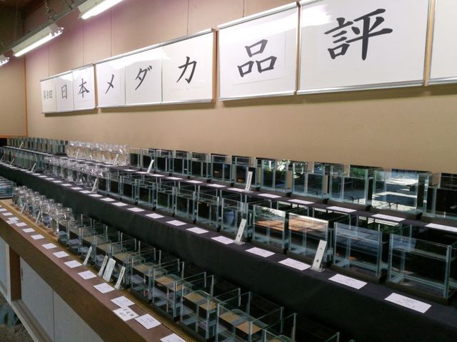 NAXƂāA{_JÂ̓{_Ji]JÂ܂B_߂̊