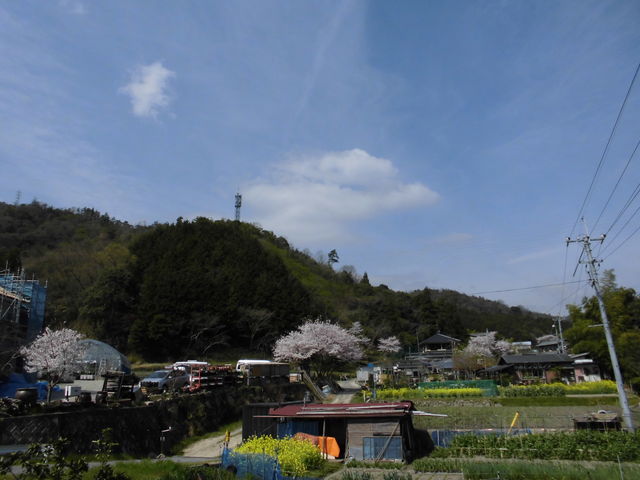 vWFNgB߂̊ق̗ɂׂANAĂ܂B_߂̊