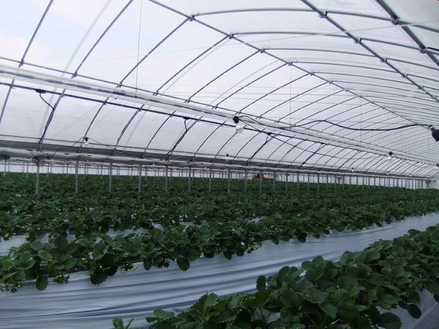 �������n�E�X������