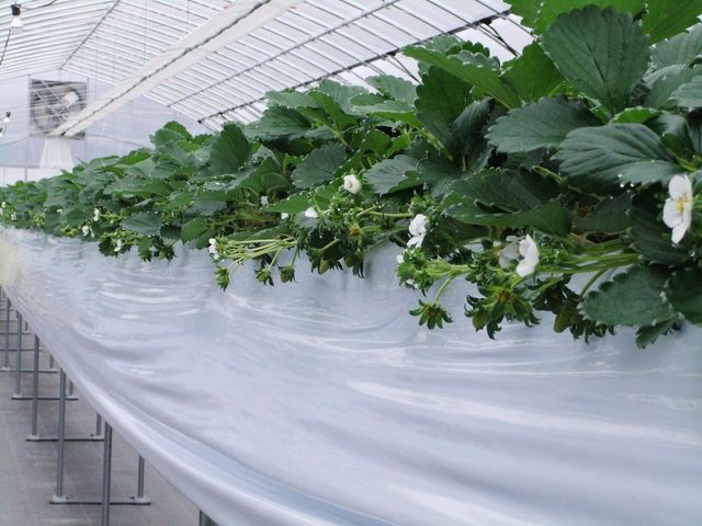 �������n�E�X������