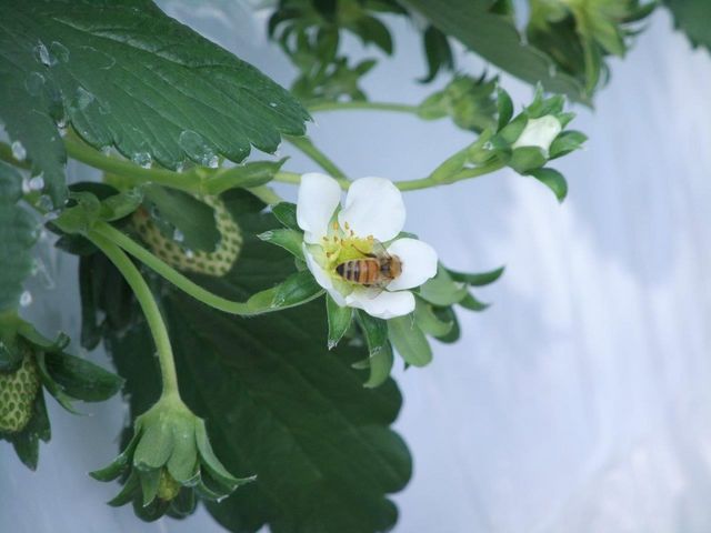 �������n�E�X������