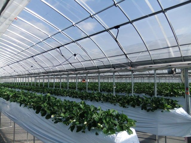 �������n�E�X������