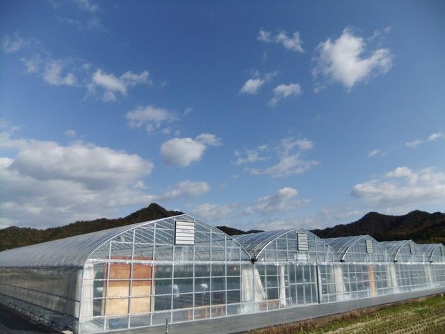 �������n�E�X������