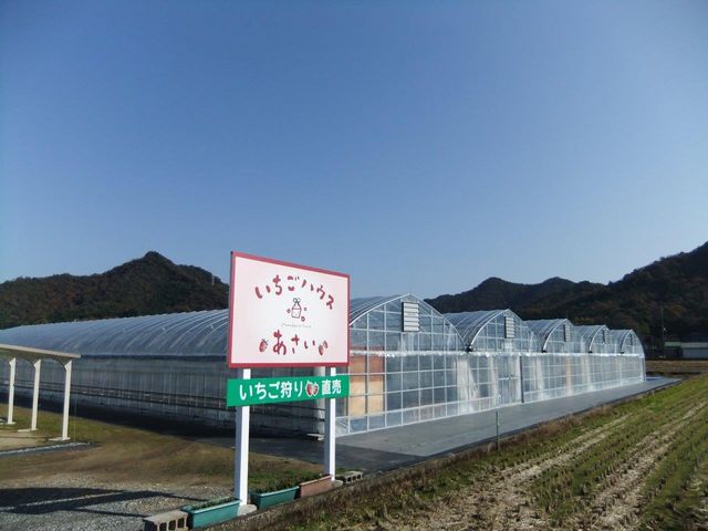 �������n�E�X������