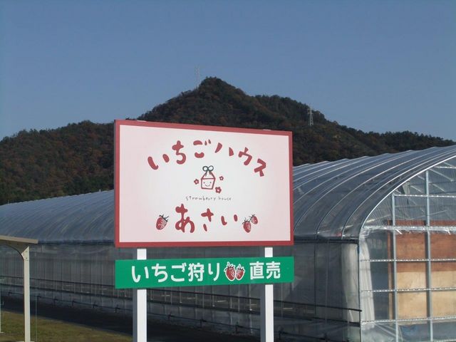 �������n�E�X������