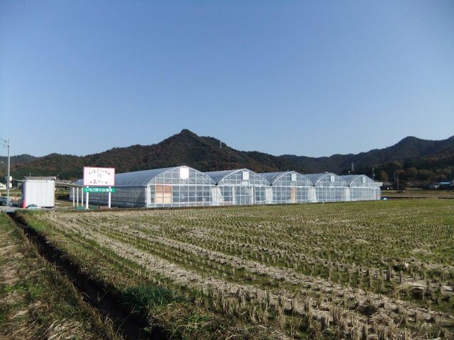 �������n�E�X������