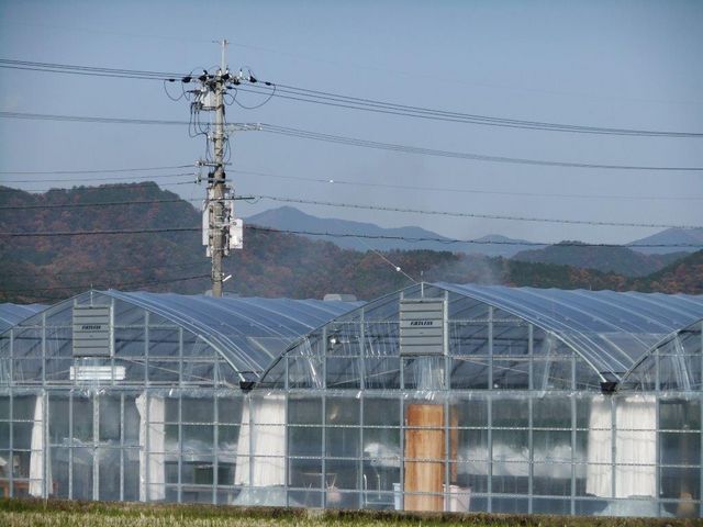 �������n�E�X������