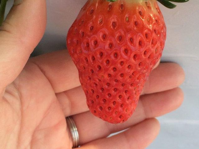 �������n�E�X������