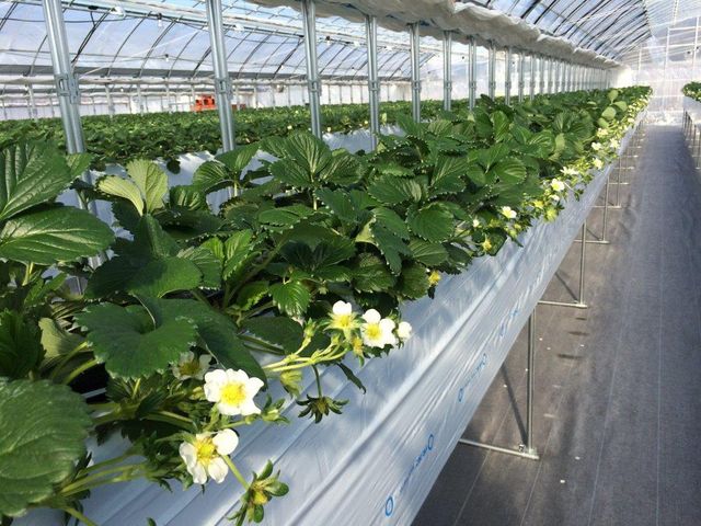 �������n�E�X������