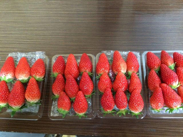 �������n�E�X������