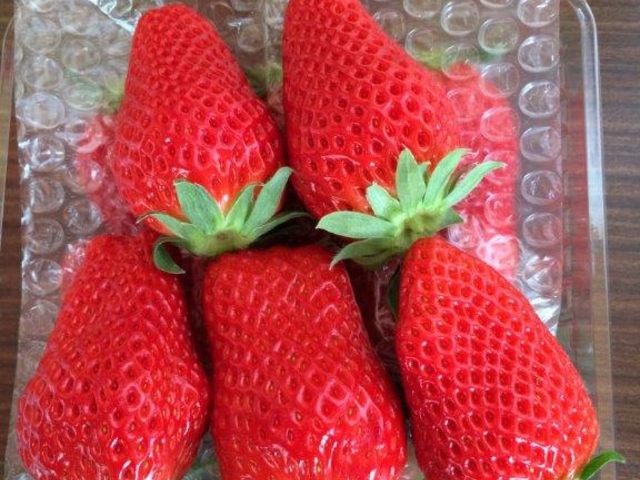 �������n�E�X������