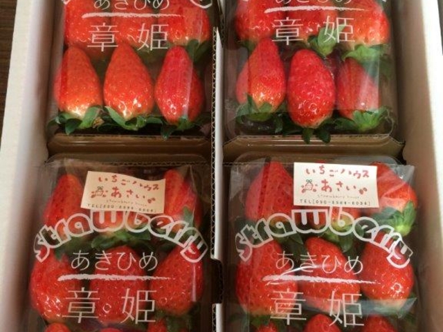 �������n�E�X������