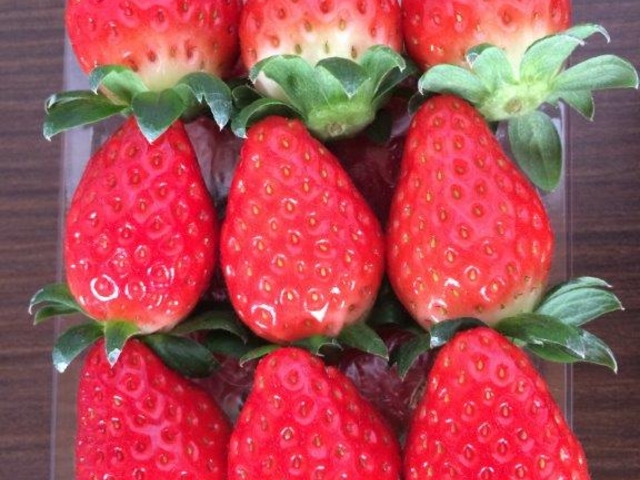 �������n�E�X������