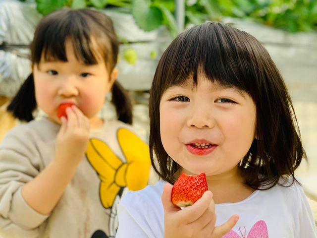 �K�C���t�@�[��(���c�t�@�[���j