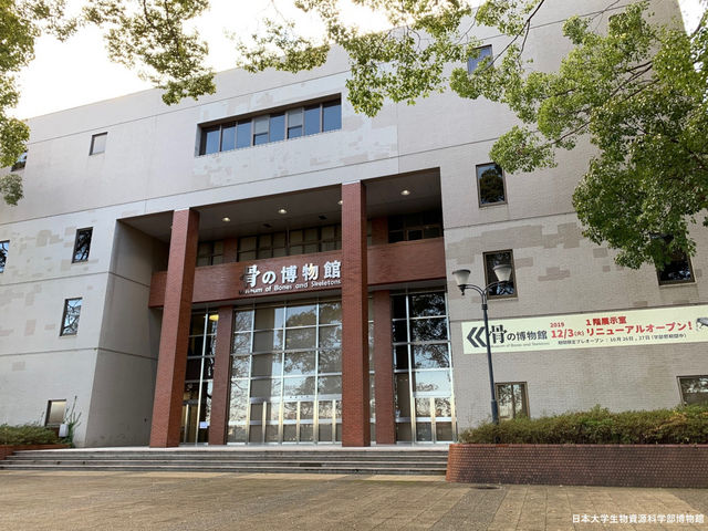 ���{��w���������Ȋw�������فi���̔����فj