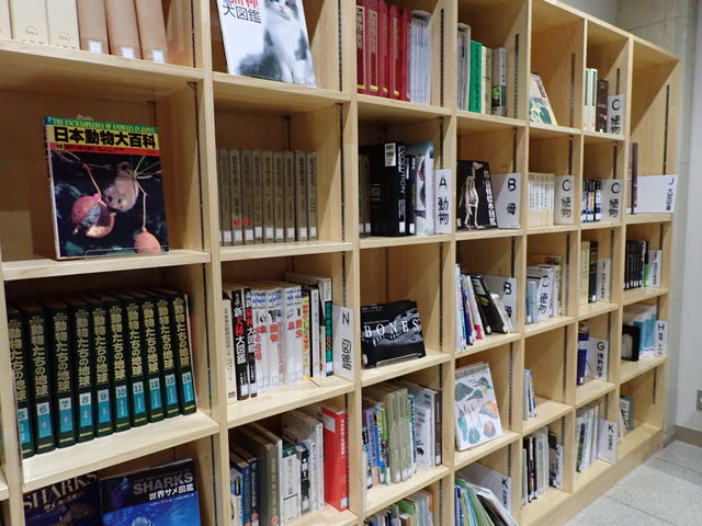 ���{��w���������Ȋw�������فi���̔����فj