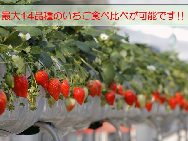 ����t�@�[���̎ʐ^1