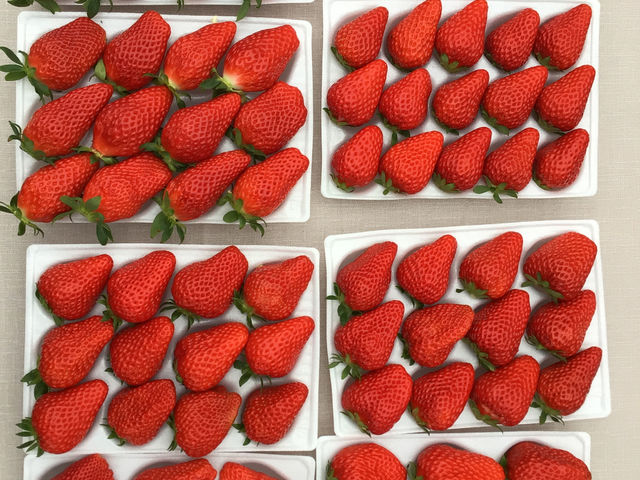 ������܉ʎ���