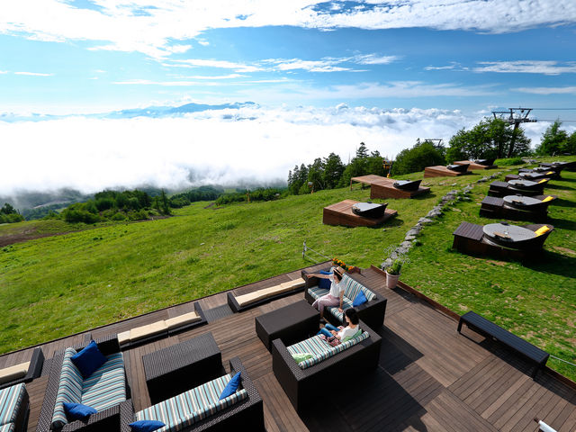 �����e���X