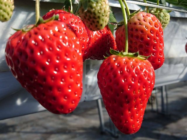 ������������