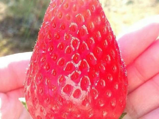 ���̂肢�����ł��I_������������