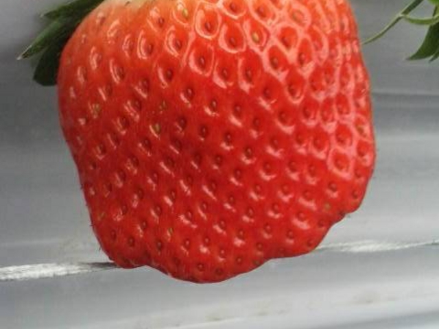 ������傪�L���Ƃ��܂��[���񂾂�☺️_������������