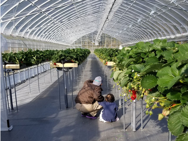 �݂Ă݂āI���ꂪ�A�A�A_������������