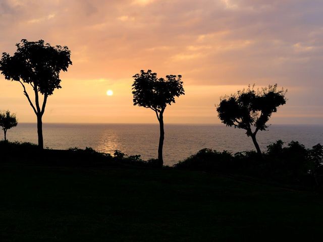 �z�e���O�������[���R�C��