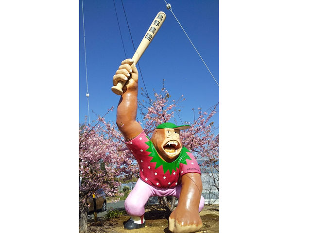 ����_���̎ʐ^1