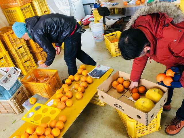 ����E�Ζ؂̐���_������Ŗ����Ⓑ�薼����R(���ڂ�)�I��
2018.2_�Z�g���O���o�[�Y�n�E�X����