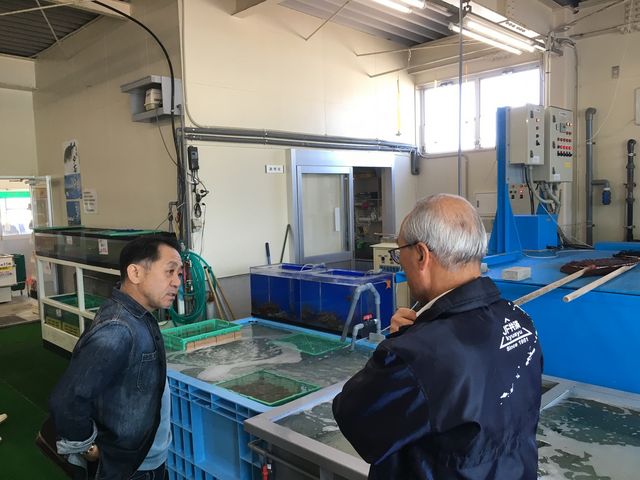 �呺�p��������ŐV�N�ȋ���̔����t����
2018.2_�Z�g���O���o�[�Y�n�E�X����