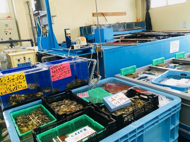 ����̋���̖L�x���A�V�N���͑S���ł��w�܂�ł�_�Z�g���O���o�[�Y�n�E�X����