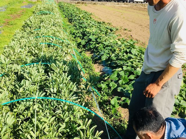 �_��s ���_��͔|�E��Ƃ�������|�c�_������@����I�ɏ{�̖�؂𑗂��Ă��������܂�
2018.5_�Z�g���O���o�[�Y�n�E�X����