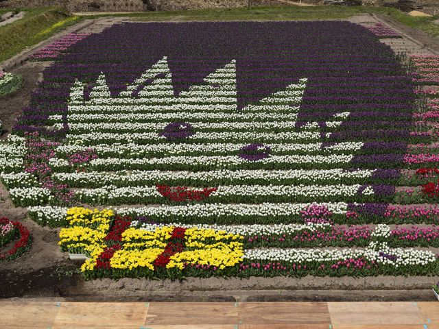 2014�`���[���b�v�܂�_��ʎВc�@�l�A���V���N���[�h�ό�����