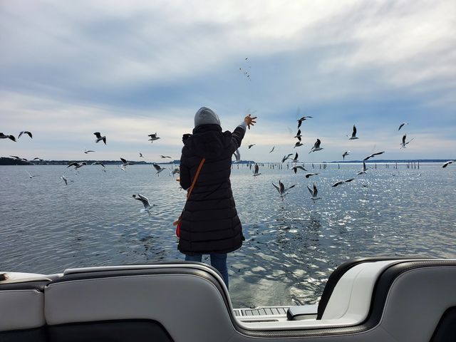 ��l�C���J�����̉a�t���̌�����
�J�Î���12������Q�����{_�I�t�B�X�i�b�c�@�E�H�[�^�[�h���C�r���O�l����